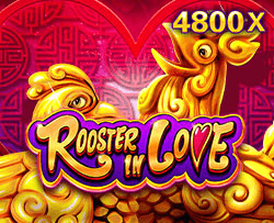 Rooster In Love RTP SLOT GACOR HARI INI NANGKATOTO