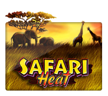 Safari Heat rtp live