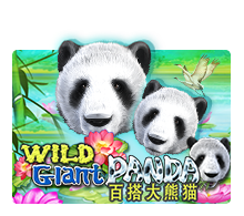 Wild Giant Panda NANGKA TOTO RTP