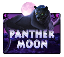 rtp hari ini nangkatoto Panther Moon