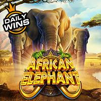 African Elephant RTP LIVE NANGKA TOTO