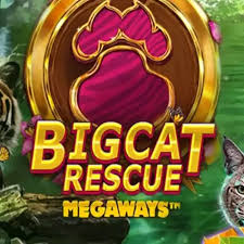nangkatoto rtp Big Cat Rescue Megaways