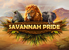 SITUS SLOT GACOR NANGKATOTO Savannah Pride