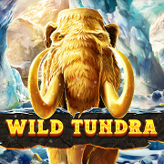 Wild Tundra Link Rtp Slot Nangka Toto